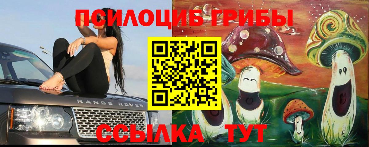 Галлюциногенные грибы Psilocybe  Вход с VPN  Архангельск 